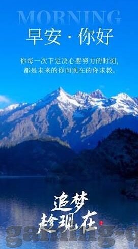 世界杯球员身体-世界杯球员身体，力量、速度与耐力的完美融合